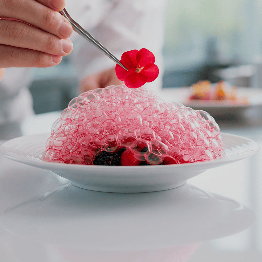BLOC GASTRONOMIE