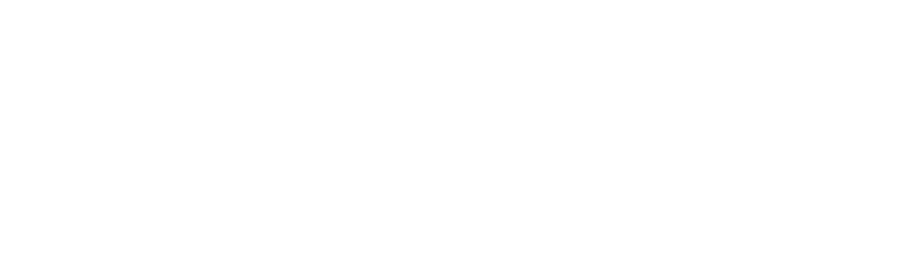 logo_icex_blanco.png